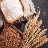 Wheat gluten